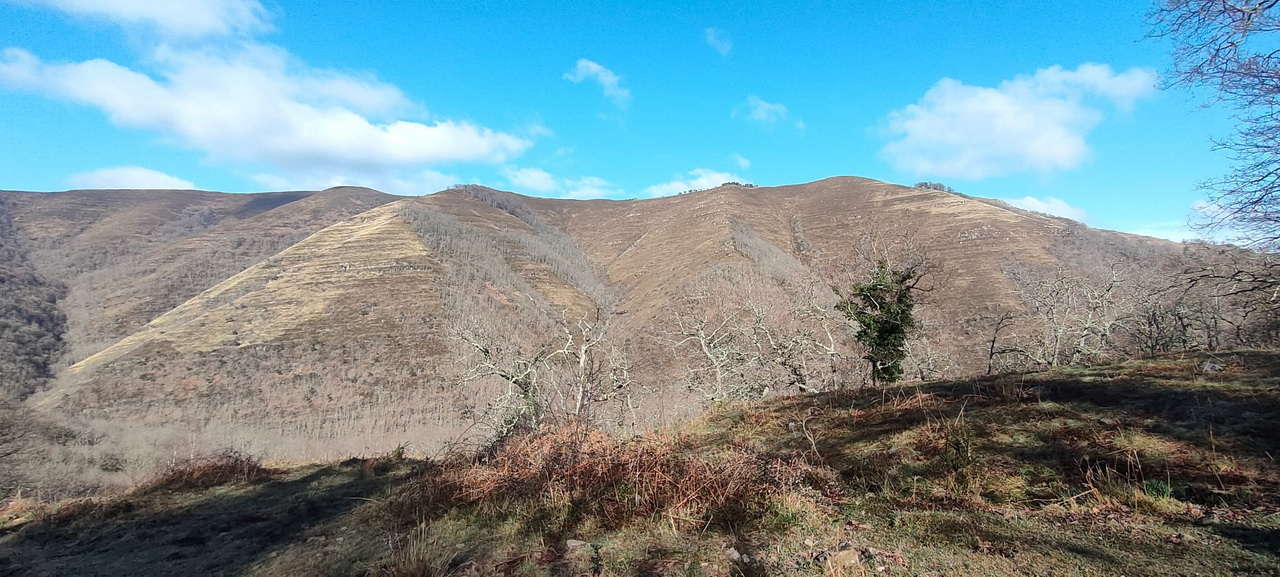 WhatsApp Image 2026-03-08 at 21.27.45 (4)